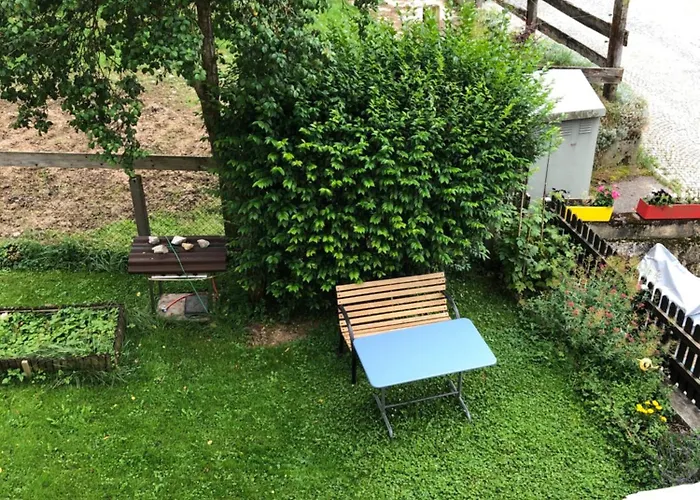 Le Houx