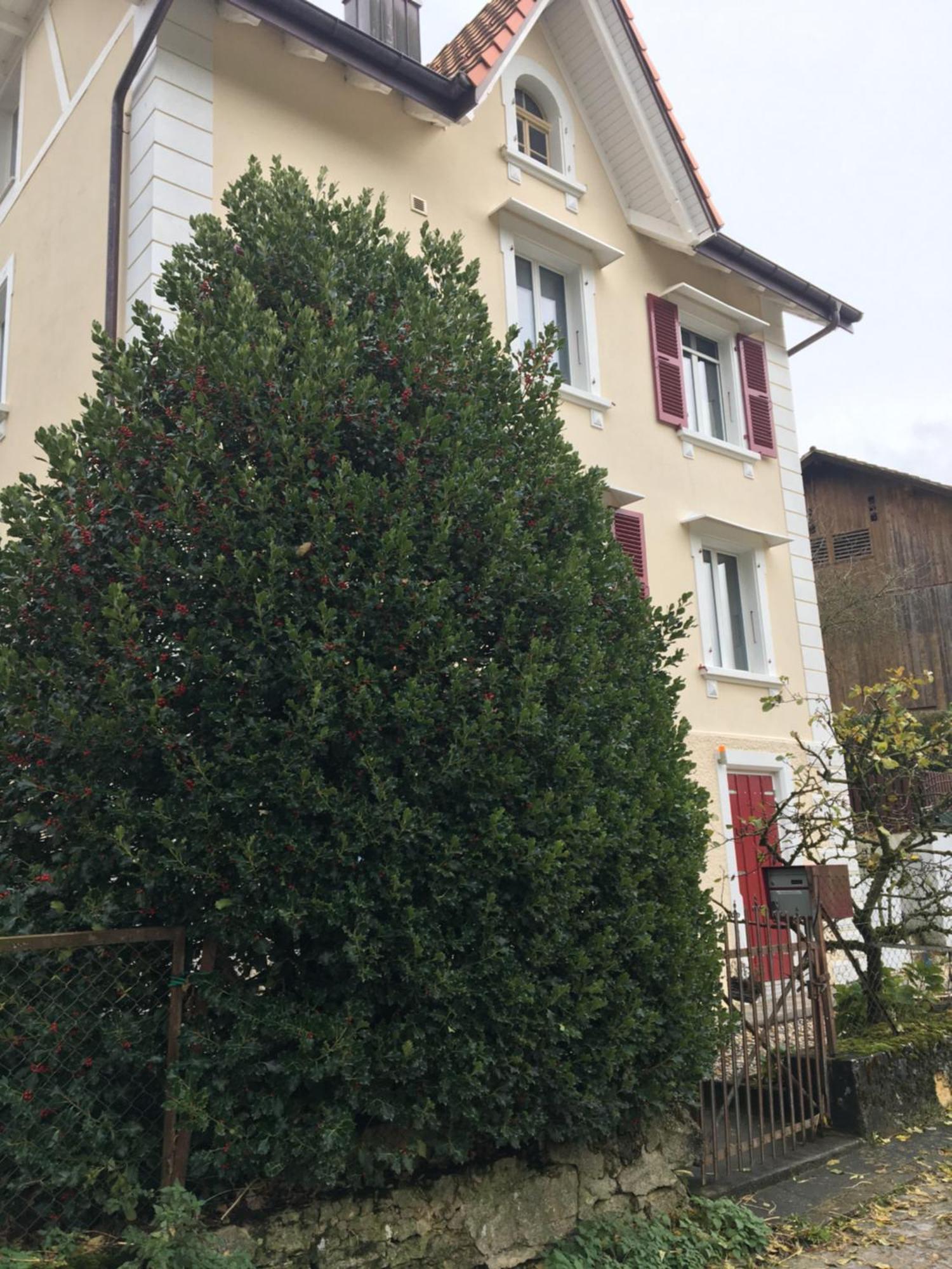 Le Houx *